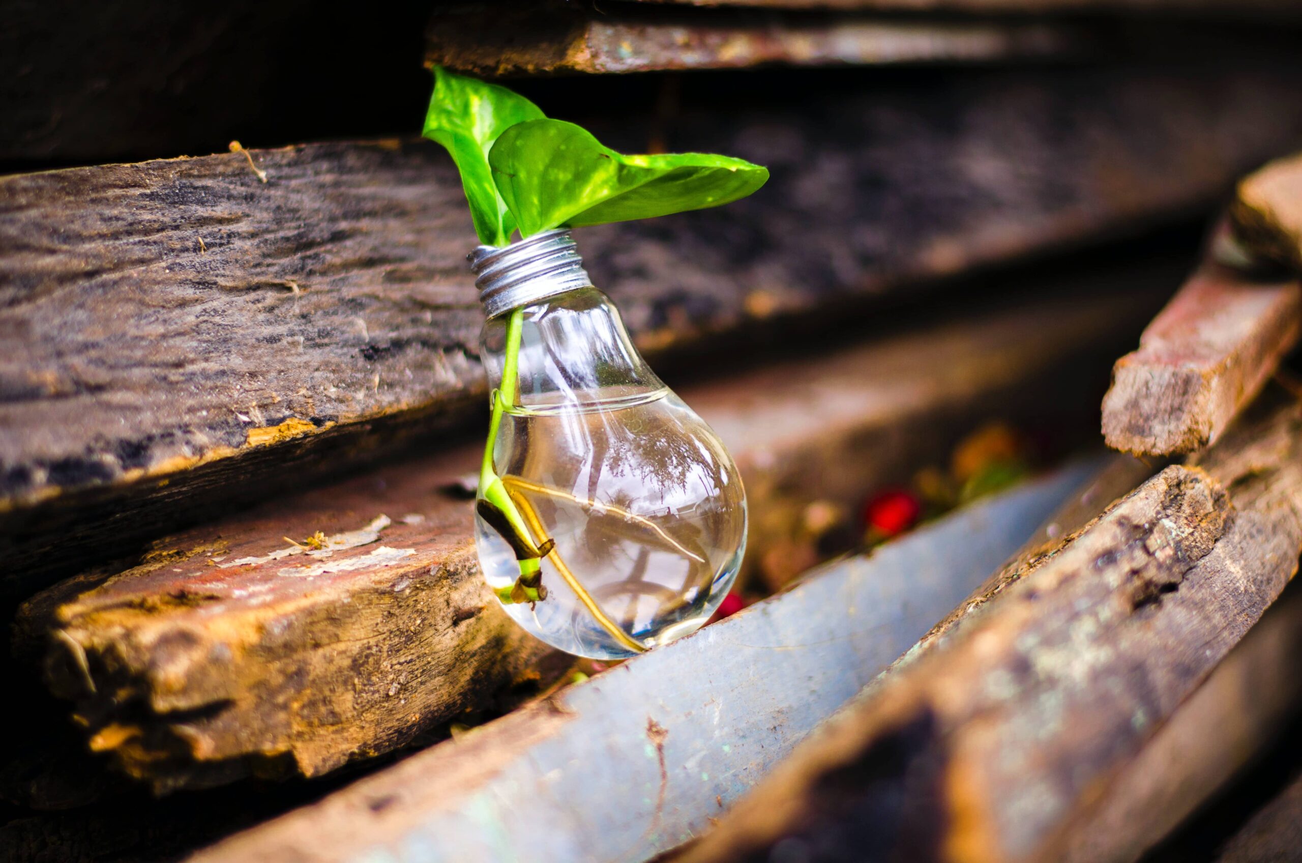 innovation-video-expert-directeur-associe-archimed-partners-cabinet-conseil-financement-inovation-cir-cii-jei-levier-subvention-credit-impot-recherche