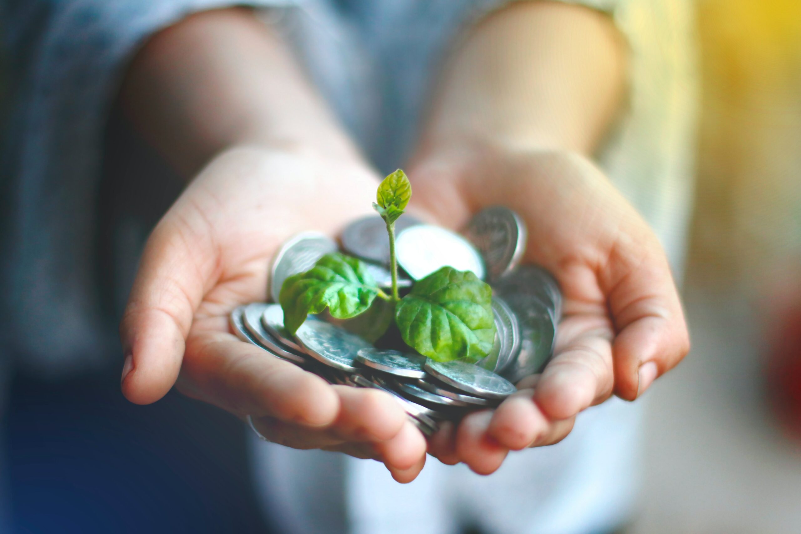 Quels sont les différents types de financement de l&rsquo;innovation ?